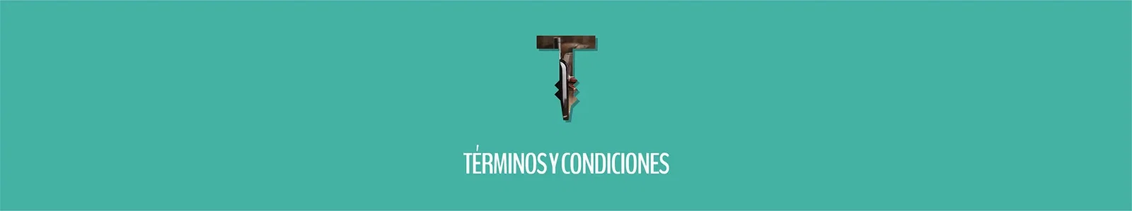 Términos y condiciones